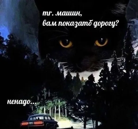 Кот показывает дорогу в лесу