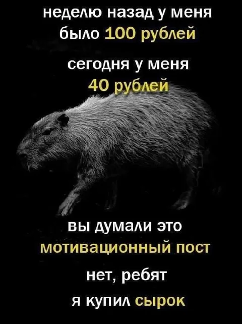 Я купил сырок