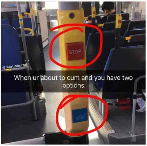 Bus Stop or Wheelchair Button
