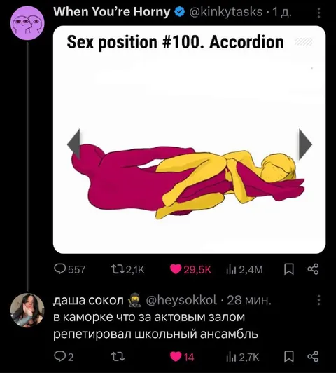 Sex Position Accordion Reaction