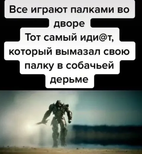 Палка в собачьей дерьме