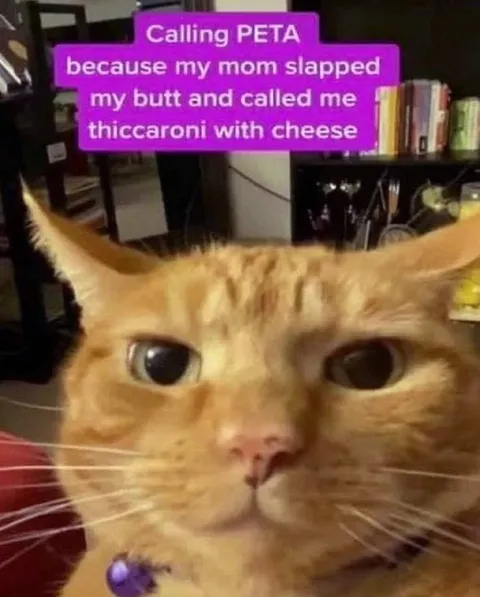 Calling PETA Over Thiccaroni