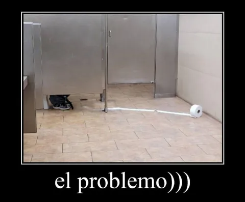 El problema del papel higiénico