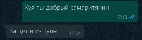 Добрый самаритянин из Тулы