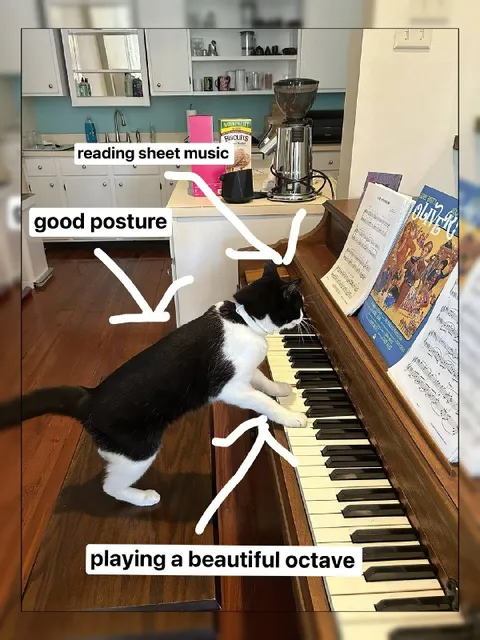 Cat Playing Piano with Good Posture