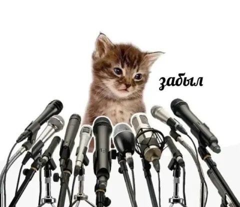 Котёнок забыл ответить