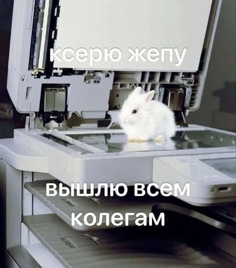 Ксерю жепу всем коллегам