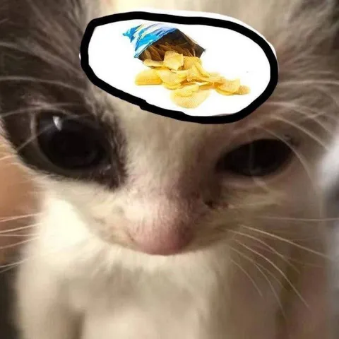 Кот думает о чипсах