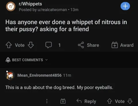 Whippet Subreddit Misunderstanding