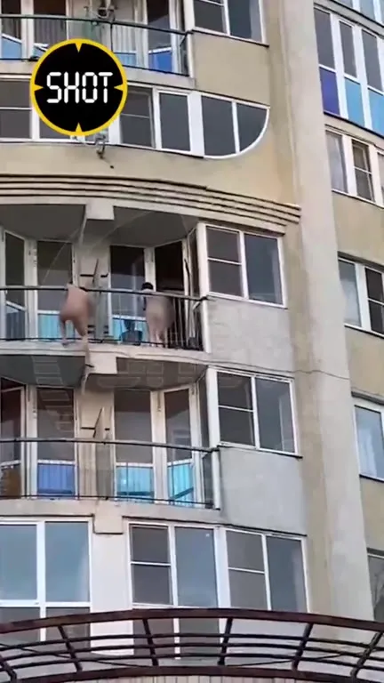 Голые беглецы на крыше