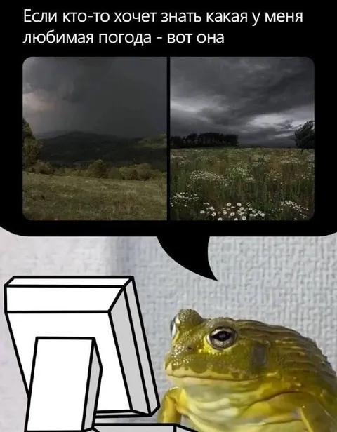 Любимая погода лягушки