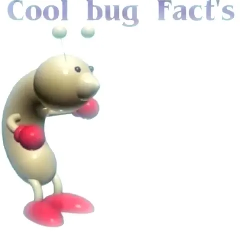 Cool Bug Facts Accountability