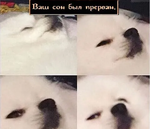 Ваш сон был прерван
