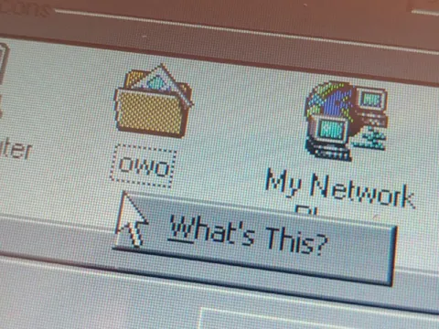 What's This Network?