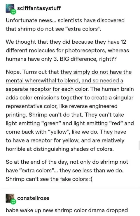 Shrimp Cannot See Fake Colors