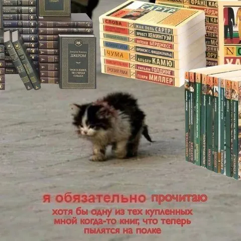 Книги, которые пылятся на полке
