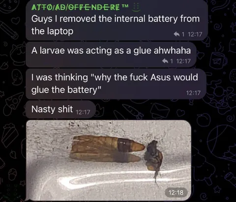 Laptop Battery Larvae Glue
