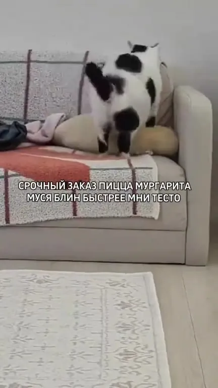 Муся месит тесто для пиццы