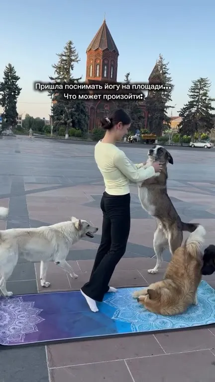 Йога на площади с собаками