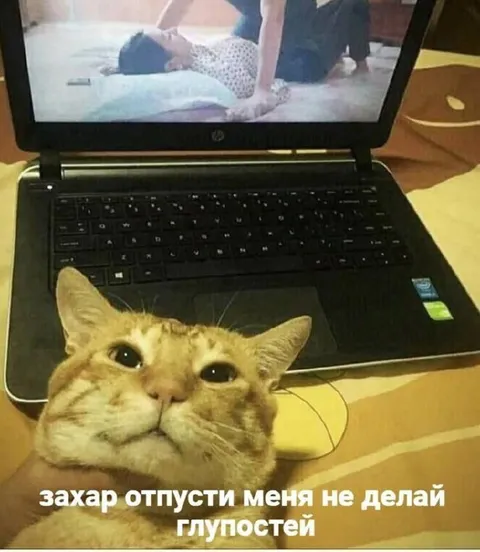 Захар, отпусти меня