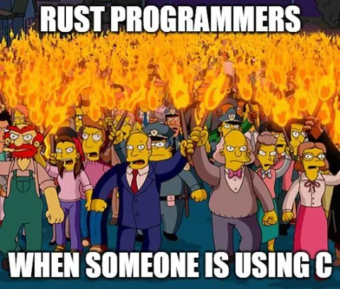 Rust Programmers Hate C