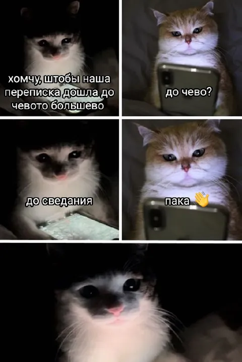 Переписка дошла до свидания