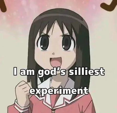 God's Silliest Experiment