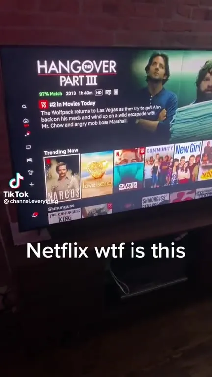 Netflix WTF Is This Shmunguss