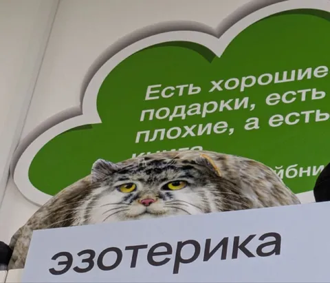 Кот-эзотерика с табличкой