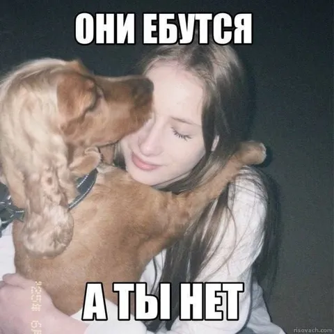 Они ебутся, а ты нет