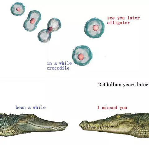 2.4 Billion Years Later