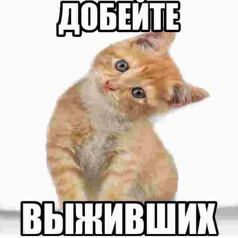Добытие выживших котёнком