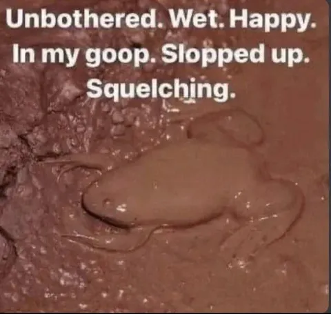 Unbothered Wet Happy Goop