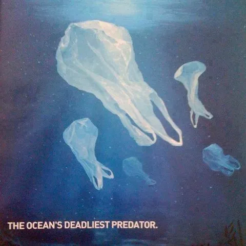 The Ocean's Deadliest Predator