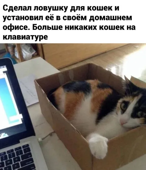 Ловушка для кошек на клавиатуре