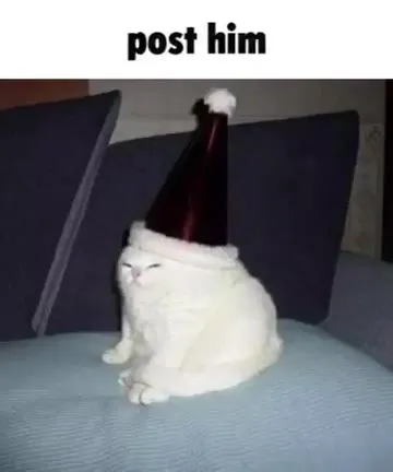 Post Him Cat