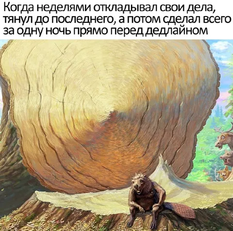 Сделал всё за одну ночь