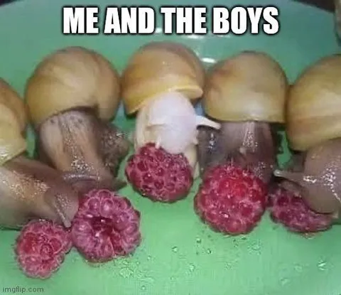Me and the Boys Snail Squad