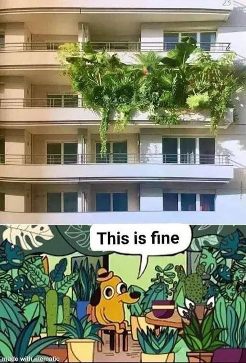 Balcony Jungle This Is Fine