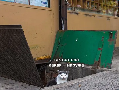 Какая она, наружа