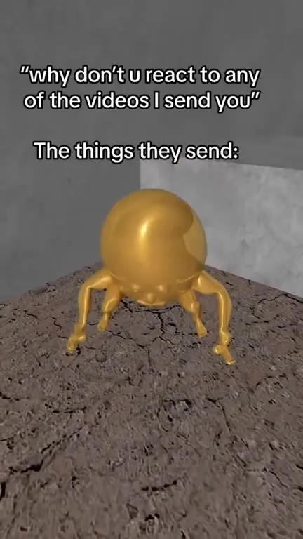 The Videos They Send