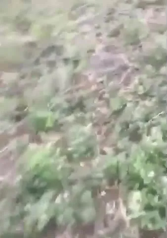 А я думал камера