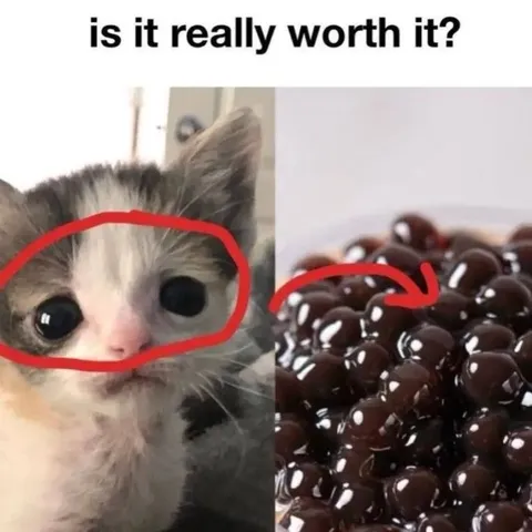 Is It Really Worth It?