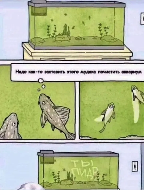 Заставить мудака почистить аквариум