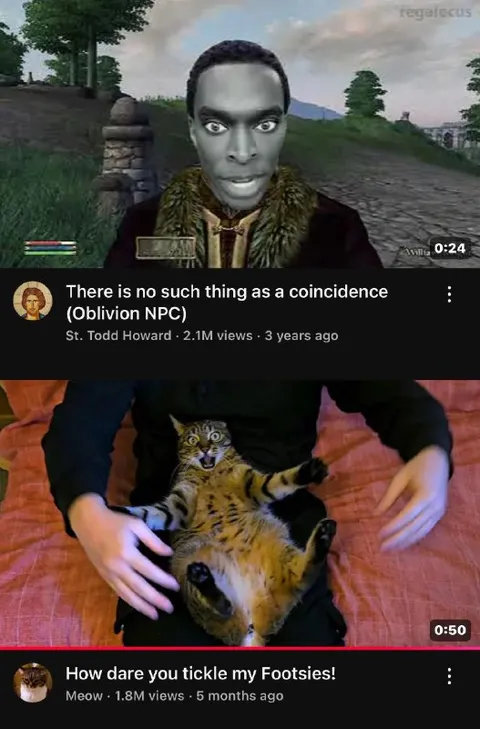 Oblivion NPC and Ticklish Cat