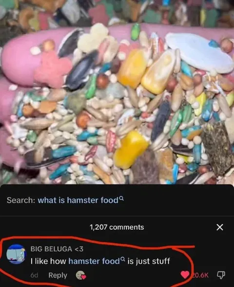 Hamster Food Is Just Stuff