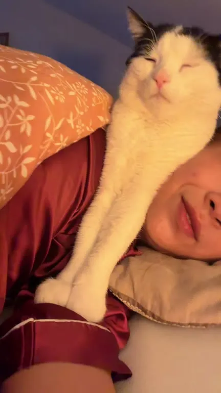 Кот лежит на лице