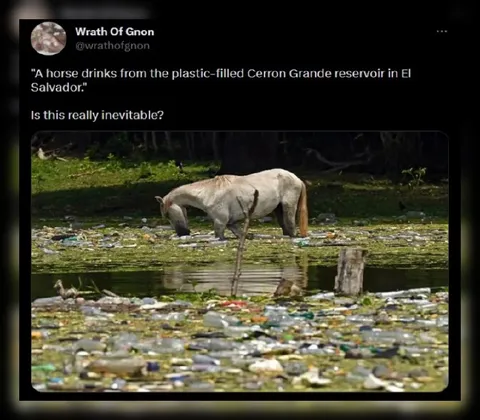 Horse Drinks from Plastic-Filled Reservoir