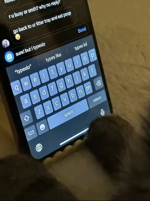 Cat Types an Insult