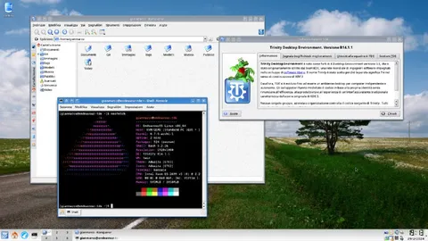 Plasma 6? Io resto su Trinity